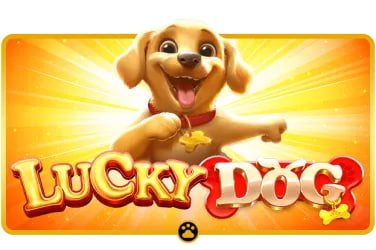 8800vip Free Spin Bonus Slots Myanmar ကစားသမားများ